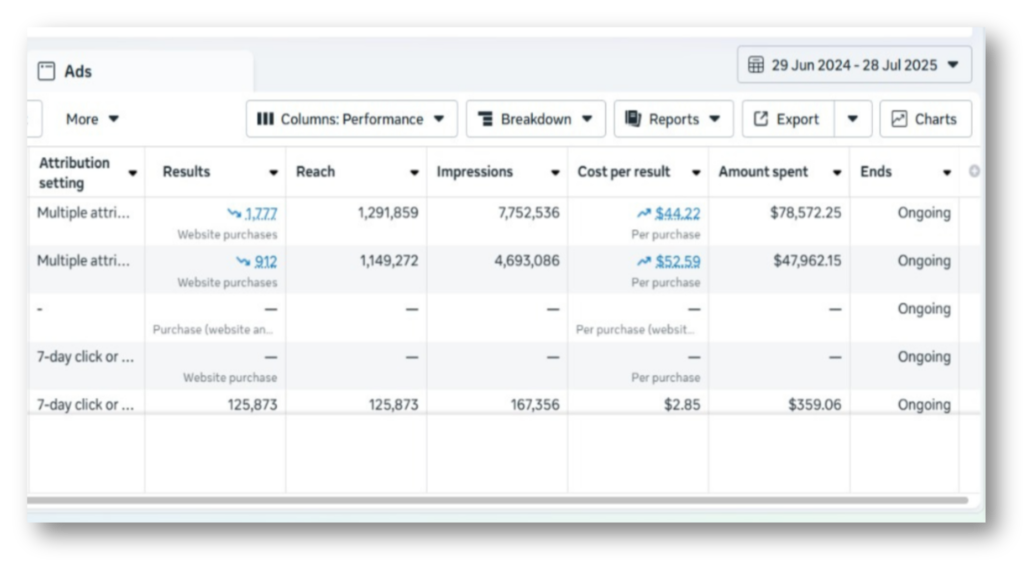 eCommerce Meta Ads Case Study